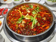 -蛙蛙鸡冷锅鱼(驷马桥店)
