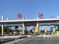 -虾皇(龙虾城旗舰店)