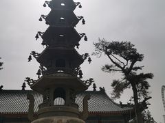 -天津大悲禅院