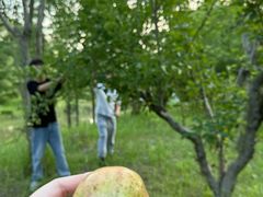 -狼山风景名胜区