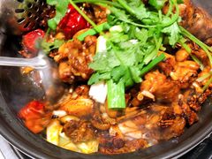 -友黔蛙(吉大店)