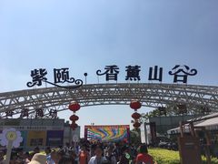 -紫颐香薰山谷景区