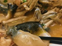 -9号小厨师(端平桥店)