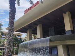 -采悦轩中餐厅·粤菜·海南菜(神州半岛喜来登度假酒店)