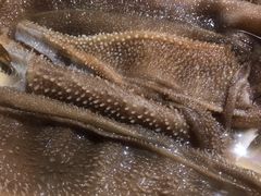 大侠水牛毛肚-蜀大侠火锅(建设路第五大道店)