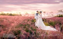 -索菲亚摄影会所