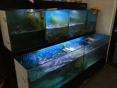 -翠茗农庄土菜馆(天目湖店)