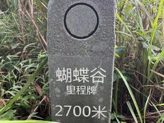 -梧桐山风景名胜区