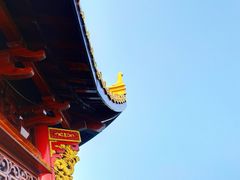 -西湖游船