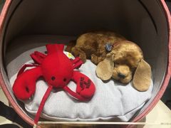 -新世界百货(明洞总店)