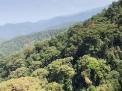 -清迈丛林飞跃 JungleFlight