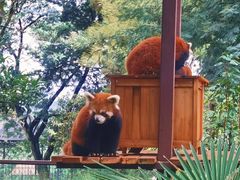 -云南野生动物园