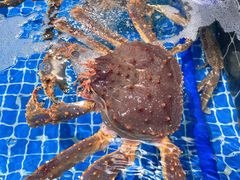 -巧克力渔家.小船海鲜胶东菜(万平口店)