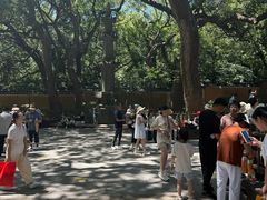 -普陀山风景名胜区-法雨禅寺