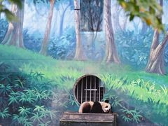 -中国大熊猫保护研究中心雅安碧峰峡基地