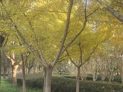 -无锡梅园公园