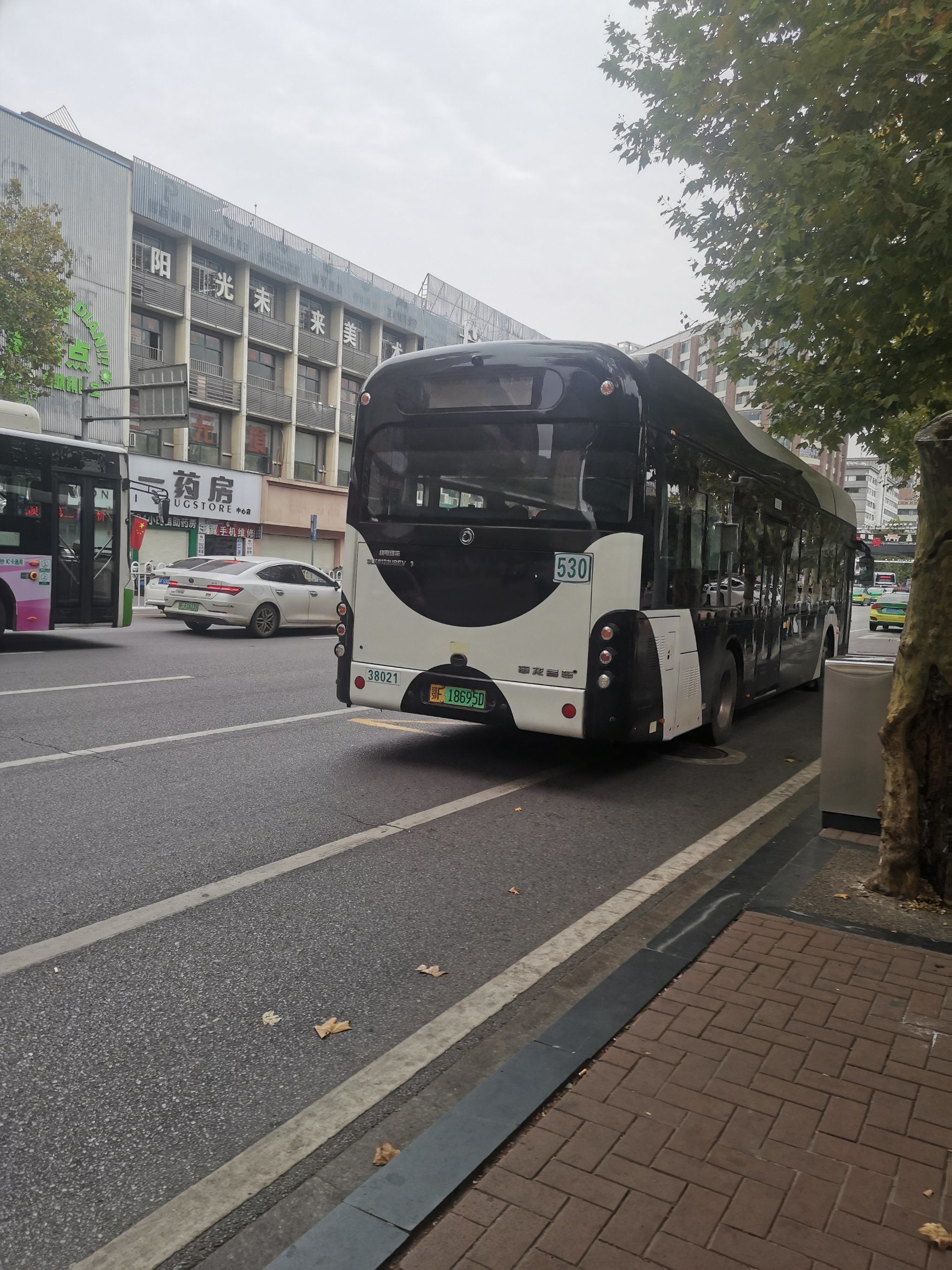 熊猫公交车