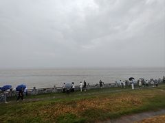 -观潮胜地公园