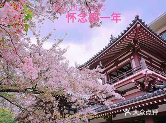 地理位置：丽园公园  无心插柳柳成荫，路过丽园公园