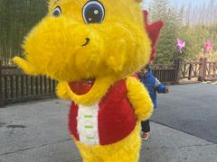 -黄海国家森林公园