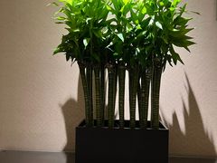 -北京丽晶酒店