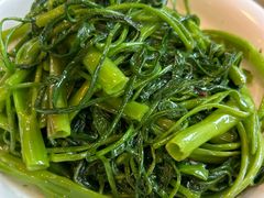 -椿记烧鹅(叠彩店)