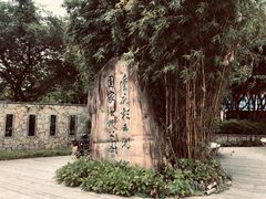 -重庆彩云湖湿地公园
