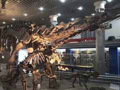 -国家自然博物馆