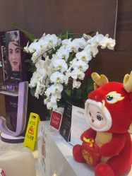 -洁铭新加坡医美