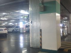 -莘庄龙之梦停车场