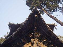 -报恩寺(平武县)