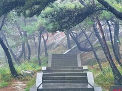 -沂蒙山旅游区龟蒙景区