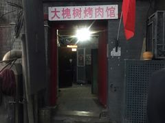 -大槐树烤肉馆