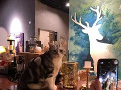 -咖法森林·咖啡  酒吧(天河店)