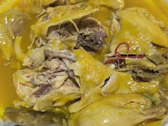 -东口码头·烧鸽子·鱼头泡饼·地方菜(金鹰悦城店)