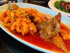 松子桂鱼-新南华大酒店(长寿店)