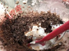 -蜜雪冰城(浙江大学店)