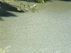 -庐山碧龙潭风景区