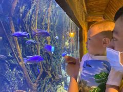 -华夏文旅海洋公园