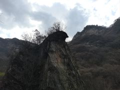 -少华山国家森林公园