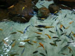-上海海洋水族馆-停车场