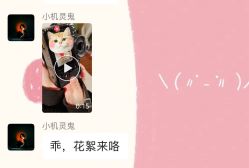 -橙亦摄影工作室