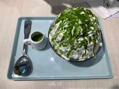 -王守财小山園