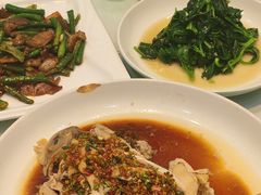 -臻品汇-镇江菜-河豚(大润发店)