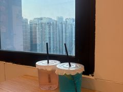 -有喵·猫咖·狗咖·30几只猫10只小狗(岗厦店)