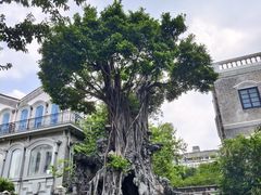 -荔湾博物馆