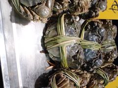 -浦江城市生活广场(江月路店)