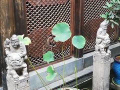 -三只耳火锅(宽窄巷子店)