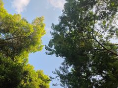 -深圳湾公园(南山区)