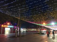 -布尔津河堤夜市